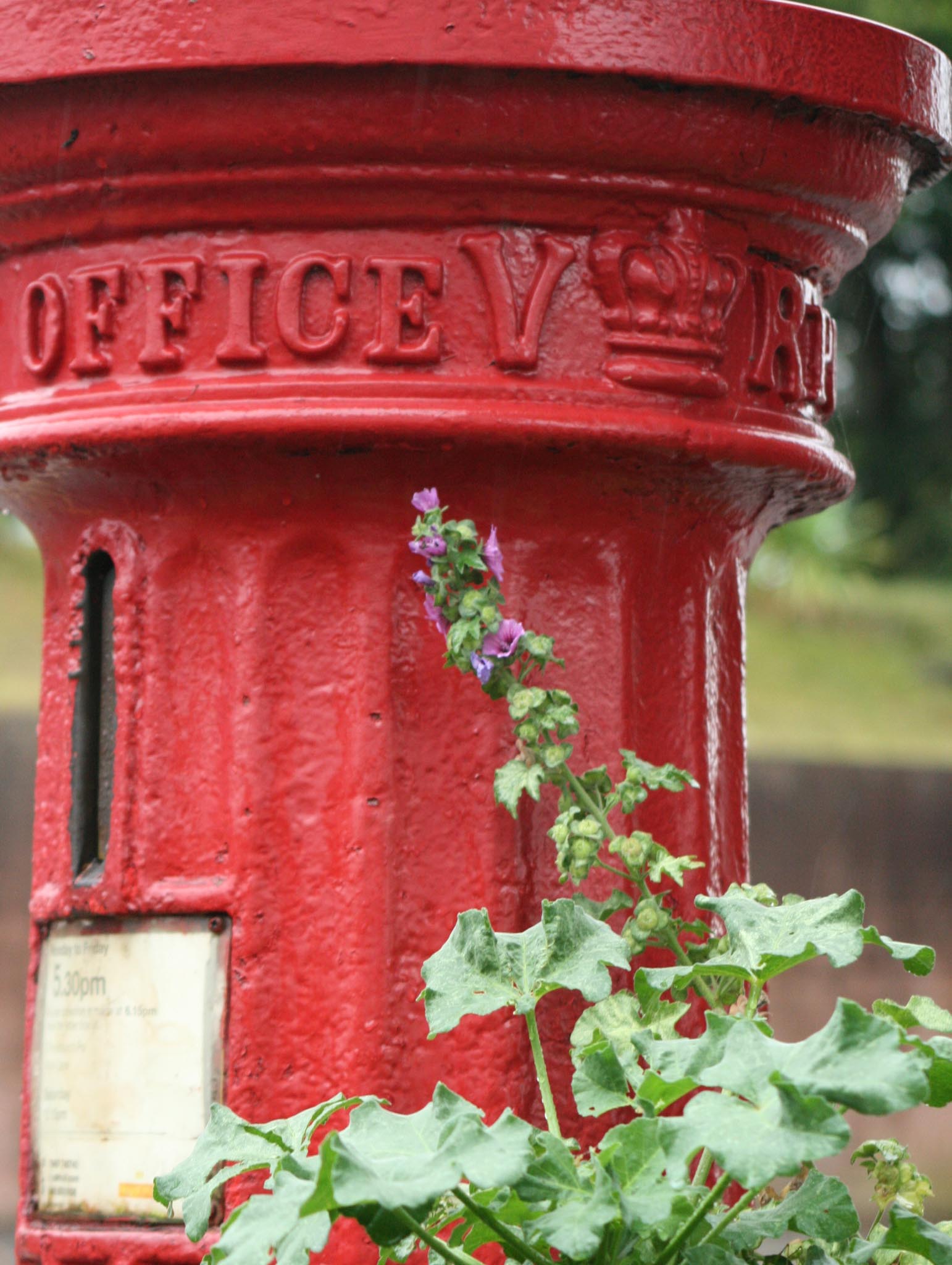 VR pillar box, 1850s, Dorset. Robert Cole