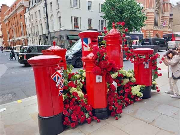 Chelsea Flower Show 3